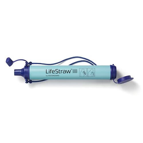 Water filter straw